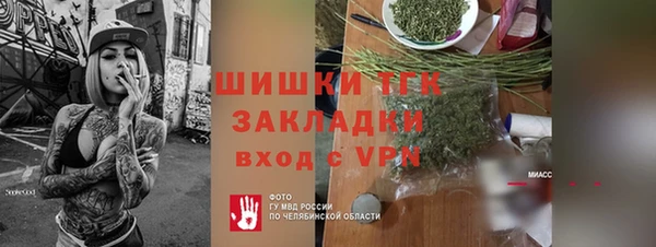 сатива Аркадак