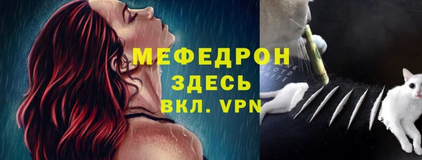 сатива Аркадак