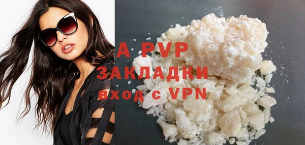 сатива Аркадак