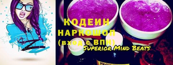 сатива Аркадак