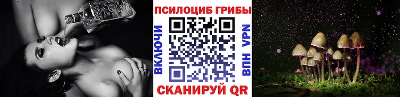 гидра онион  Саянск  Псилоцибиновые грибы мицелий 