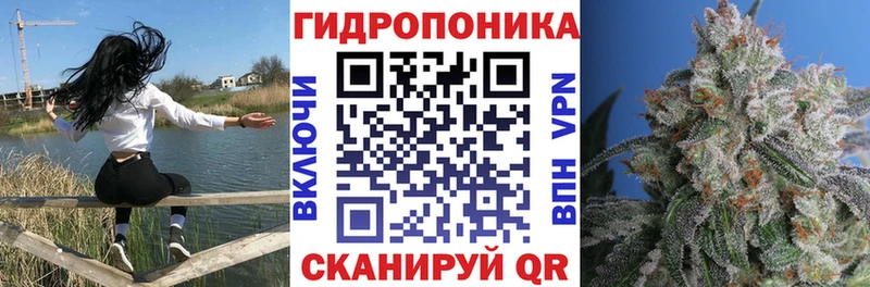 Шишки марихуана сатива  Саянск 